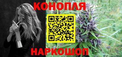 шишки Новозыбков