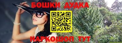 шишки Новозыбков