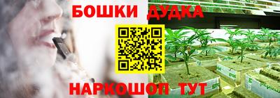 спиды Новодвинск