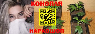 спиды Новодвинск