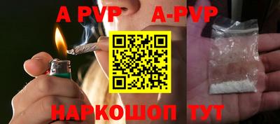 спиды Новодвинск