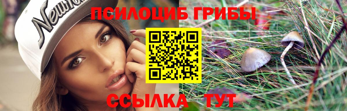 Галлюциногенные грибы мухоморы  Вход с VPN  Шадринск  Псилоцибиновые грибы Magic Shrooms 